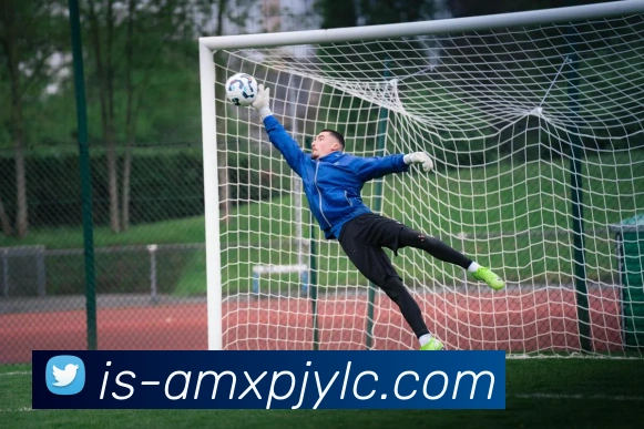 新葡京娱乐服务体系